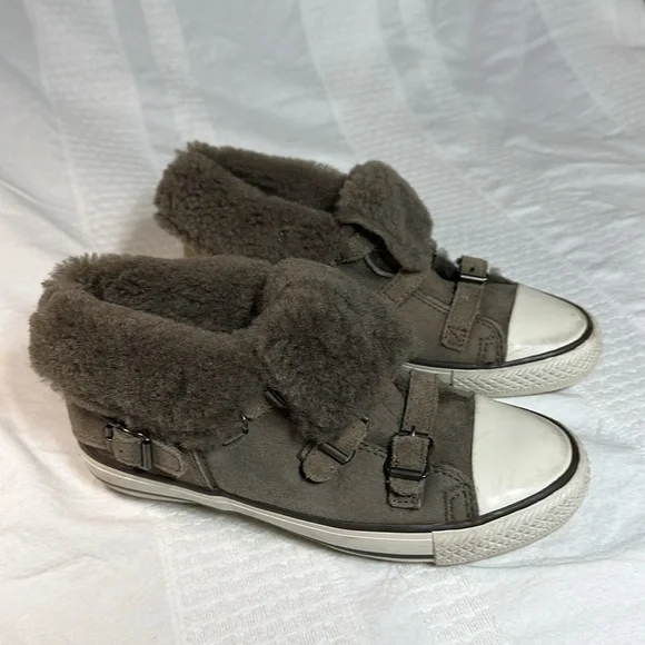 ASH Sneakers - Picture 7 of 10